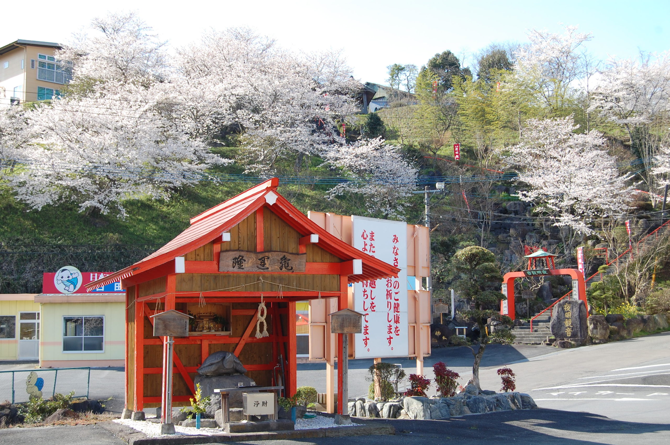 はじめまして！カメ太郎です！ | すっぽん健康食品の亀蜜(カメミツ)の
